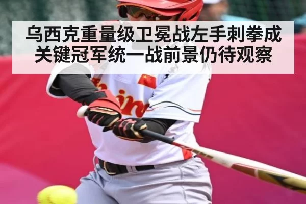 乌西克重量级卫冕战左手刺拳成关键冠军统一战前景仍待观察 - BwinAsia