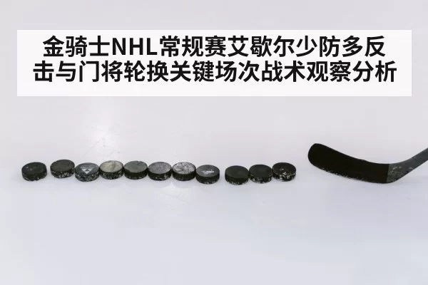 金骑士NHL常规赛艾歇尔少防多反击与门将轮换关键场次战术观察分析 - BwinAsia